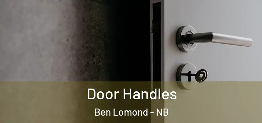 Door Handles Ben Lomond - NB