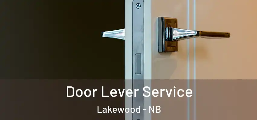 Door Lever Service Lakewood - NB