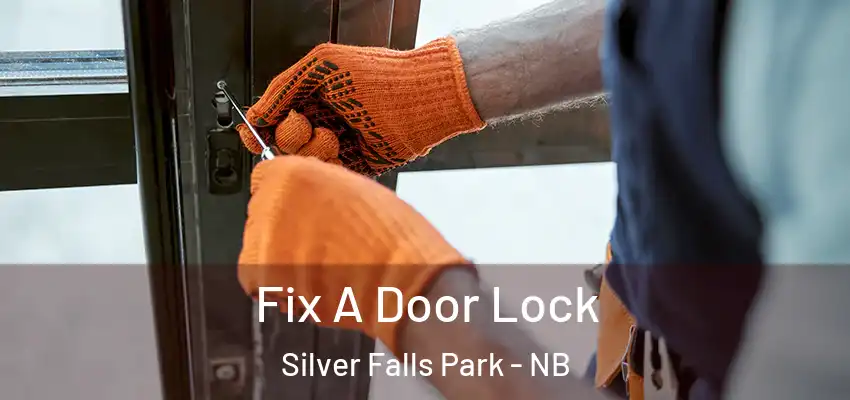 Fix A Door Lock Silver Falls Park - NB
