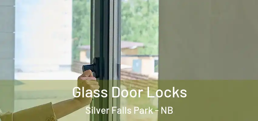 Glass Door Locks Silver Falls Park - NB