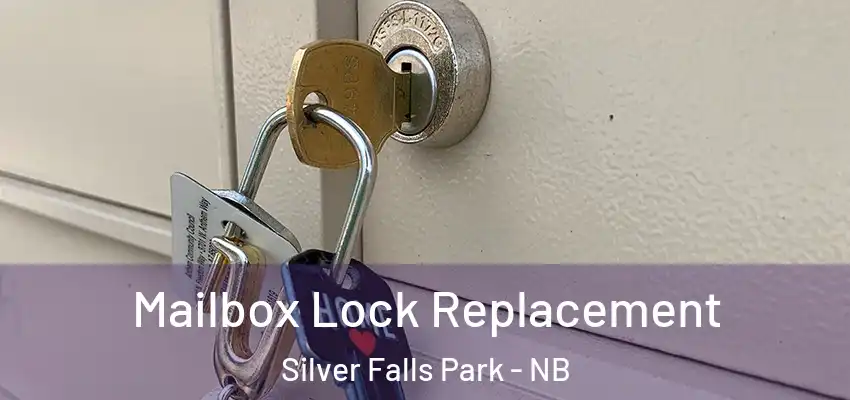 Mailbox Lock Replacement Silver Falls Park - NB