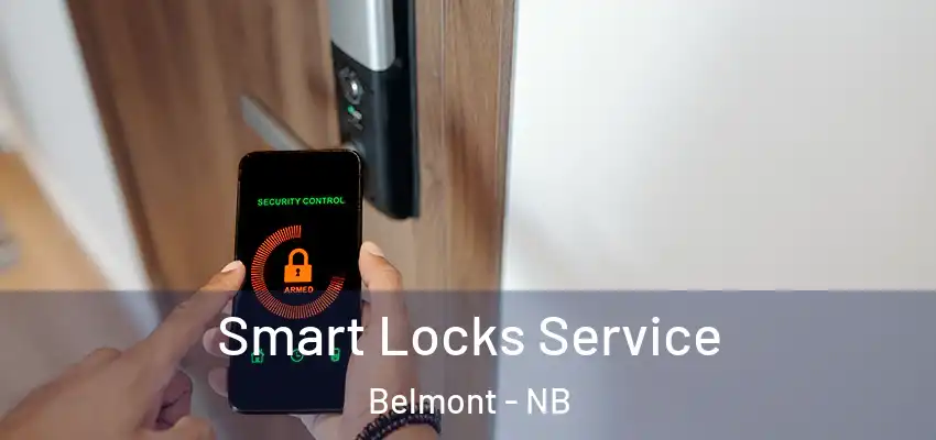 Smart Locks Service Belmont - NB