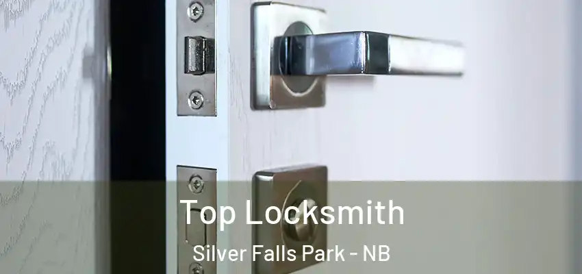 Top Locksmith Silver Falls Park - NB